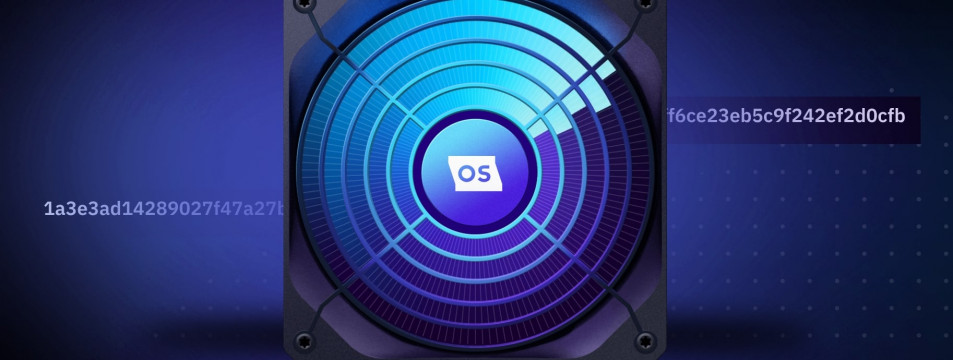 Прошивка асика: почему она важна