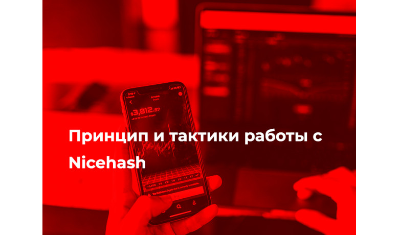 Принцип и тактики работы с Nicehash