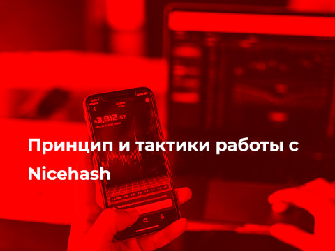 Принцип и тактики работы с Nicehash