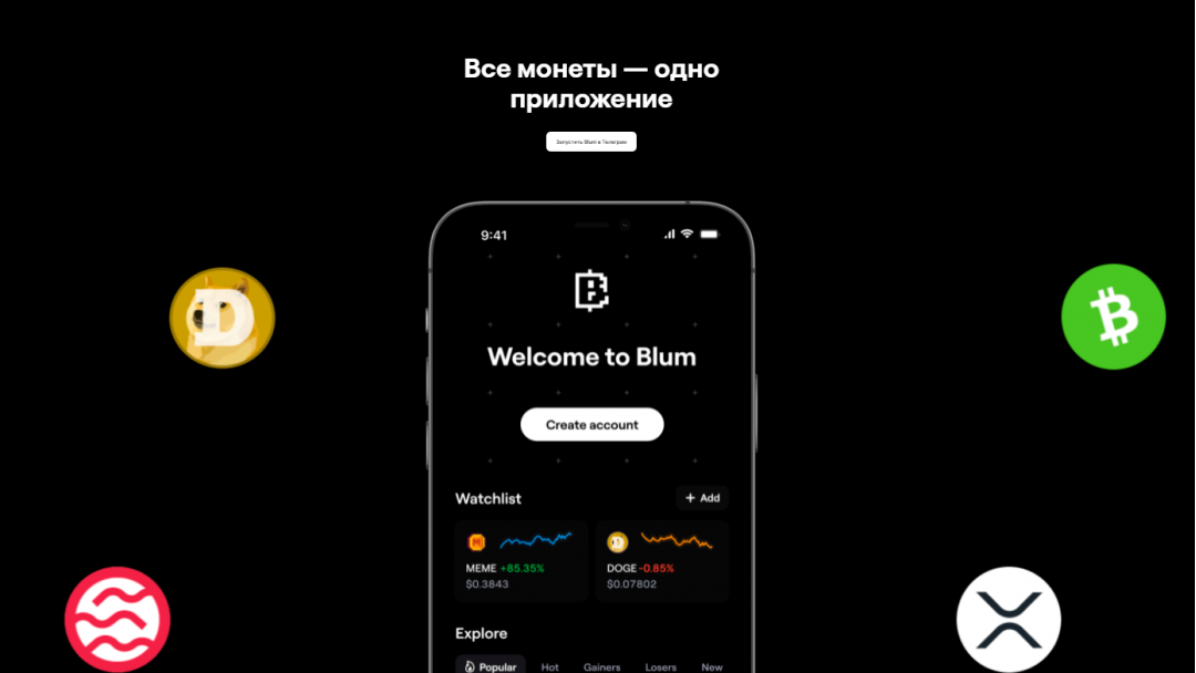 Что такое Blum