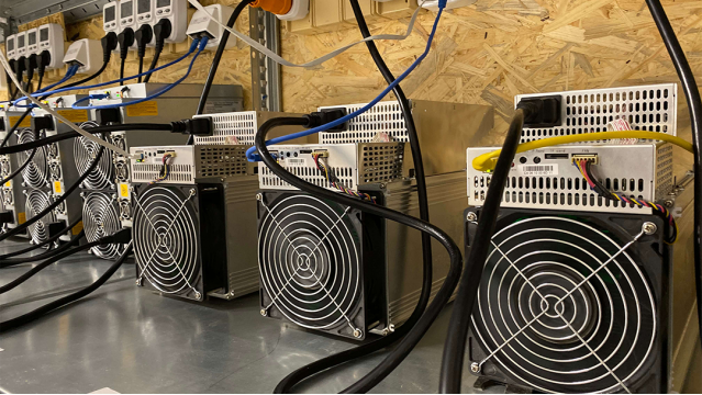 Как проверить гарантию асика