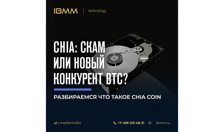 Chia – почему это не скам и стоит ли её обходить стороной?