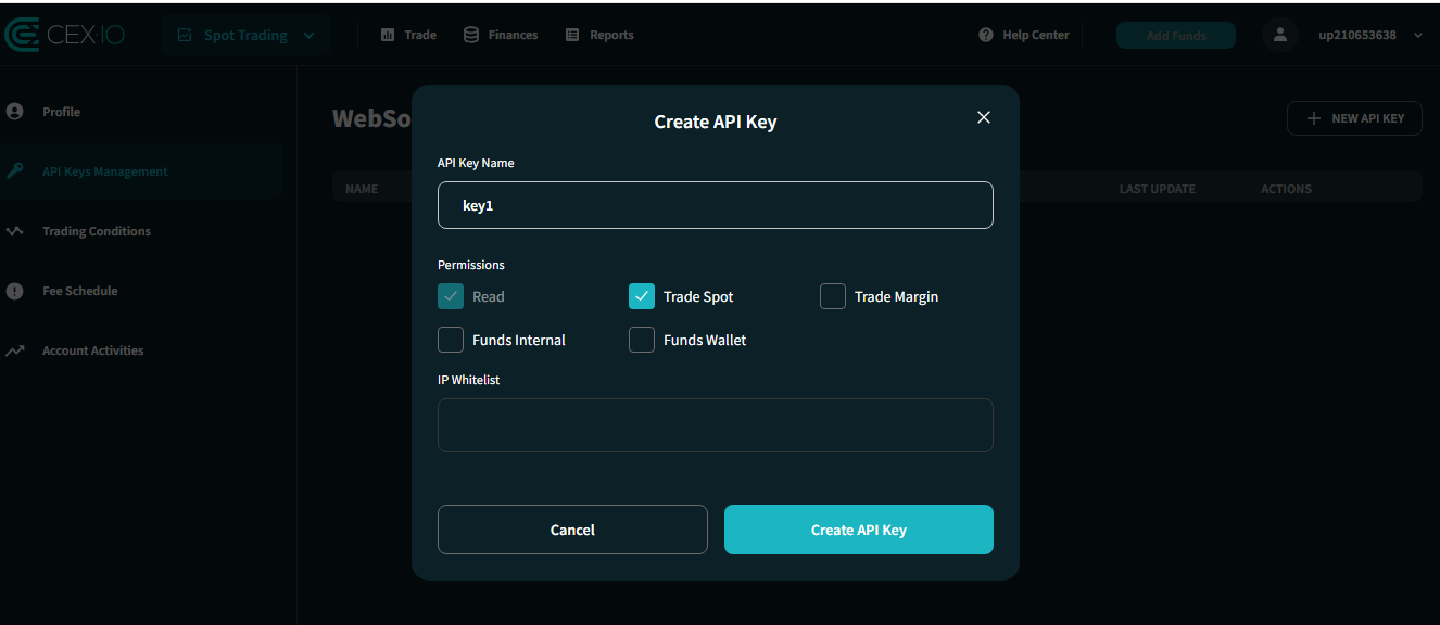 название  API-ключа