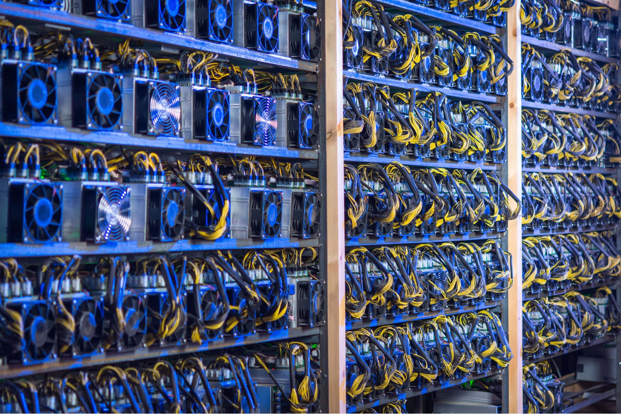 Стойки с подключёнными ASIC-майнерами в промышленной майнинг-ферма