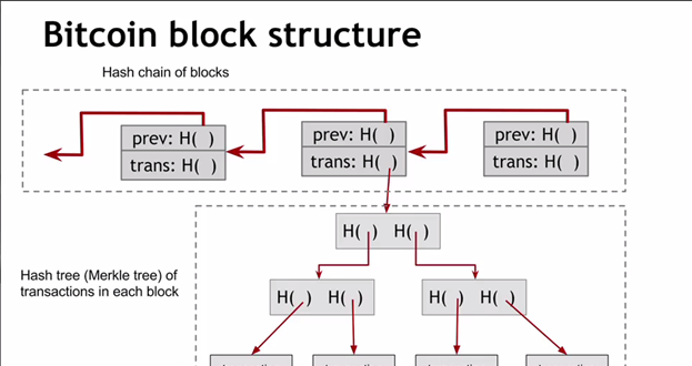Структура блока биткоина
