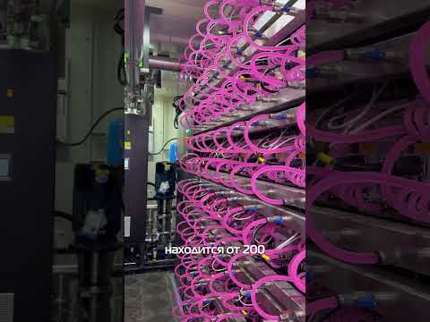 Обзор на крупнейшую майнинг площадку в России