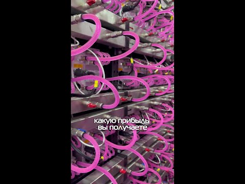 Какую прибыль принесет 5000 асиков? tg: @ibmm_technology 